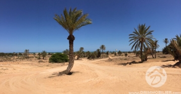 V153 - Vente  أرض للبيع Djerba