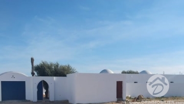 V466 -                            بيع
                           Villa avec piscine Djerba