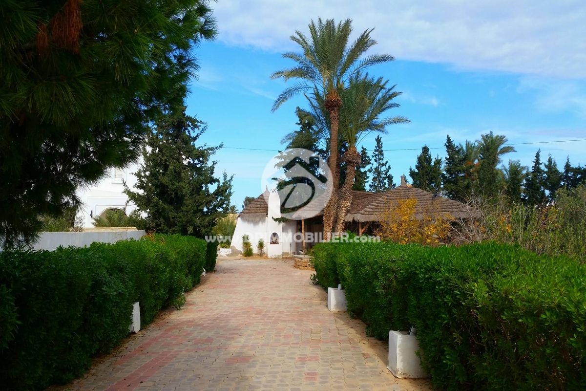 V143 -                            Sale
                           Villa avec piscine Djerba