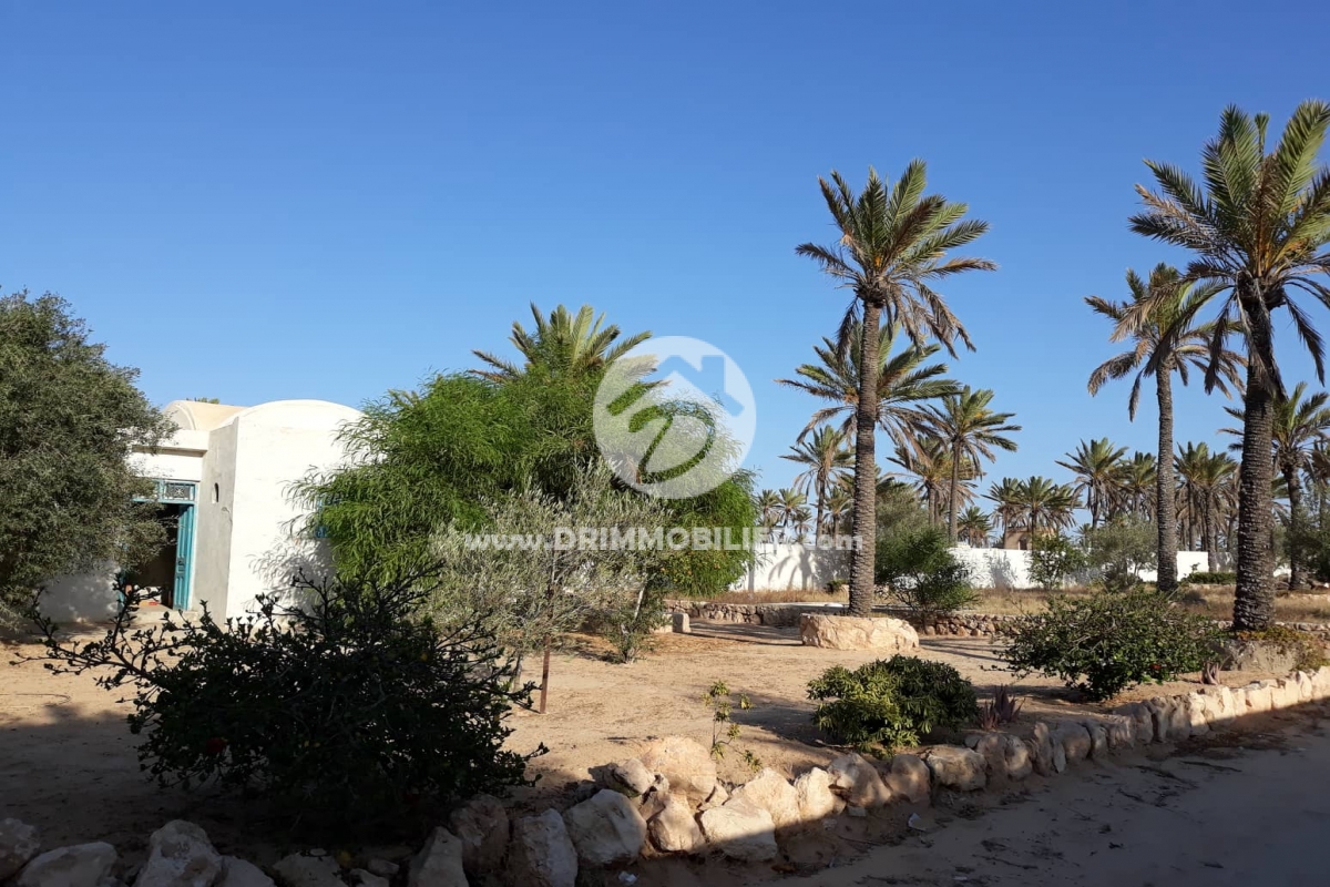 V311 -                            Koupit
                           Villa Djerba