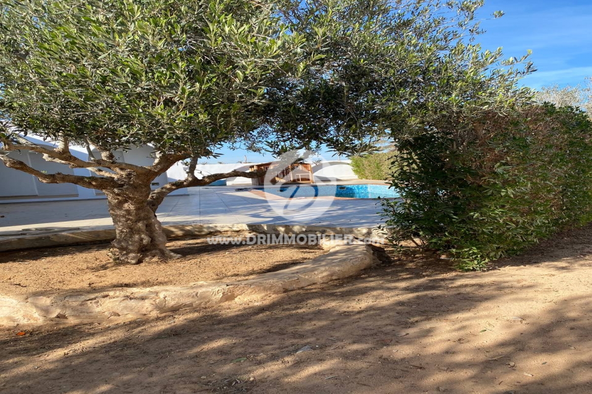 V588 -   Villa avec piscine Djerba
