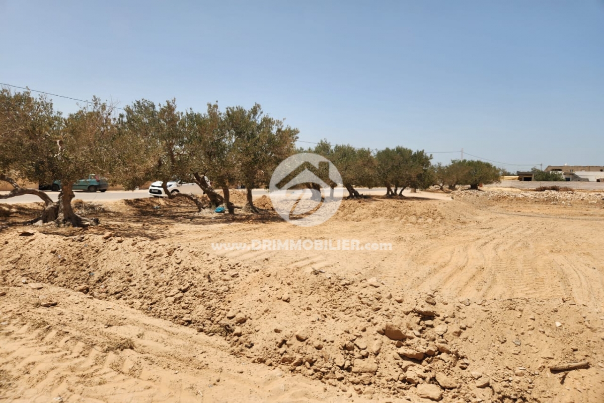 V618 -                            Sale
                           Terrain Djerba