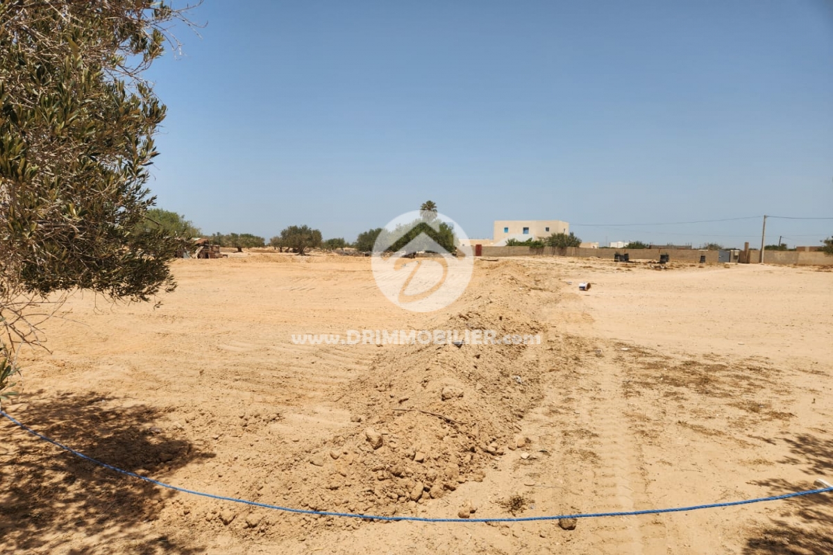 V618 -   Terrain Djerba