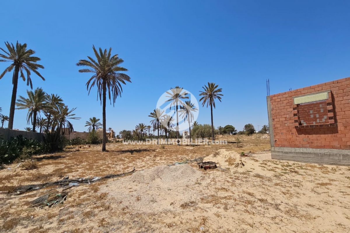 V625 -   Terrain Djerba