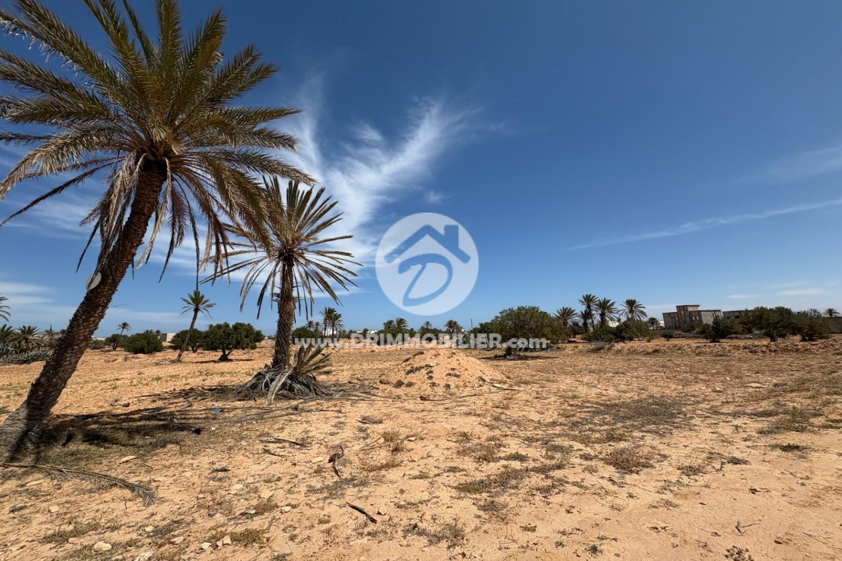 V685 -                            Sale
                           Terrain Djerba