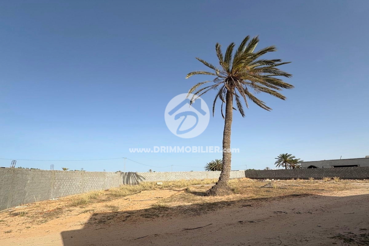 V687 -                            بيع
                           Terrain Djerba