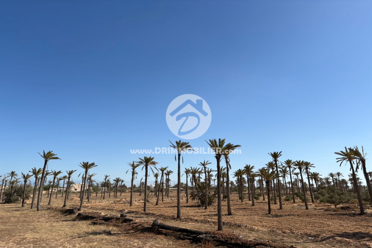 V692 -                            Koupit
                           Terrain Djerba