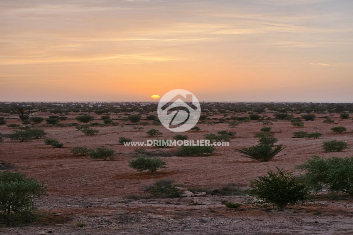 V693 -   Terrain Djerba