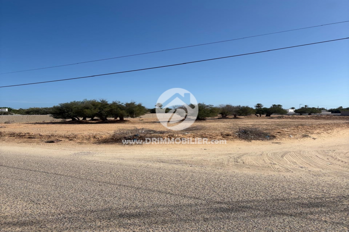 V708 -                            Koupit
                           Terrain Djerba