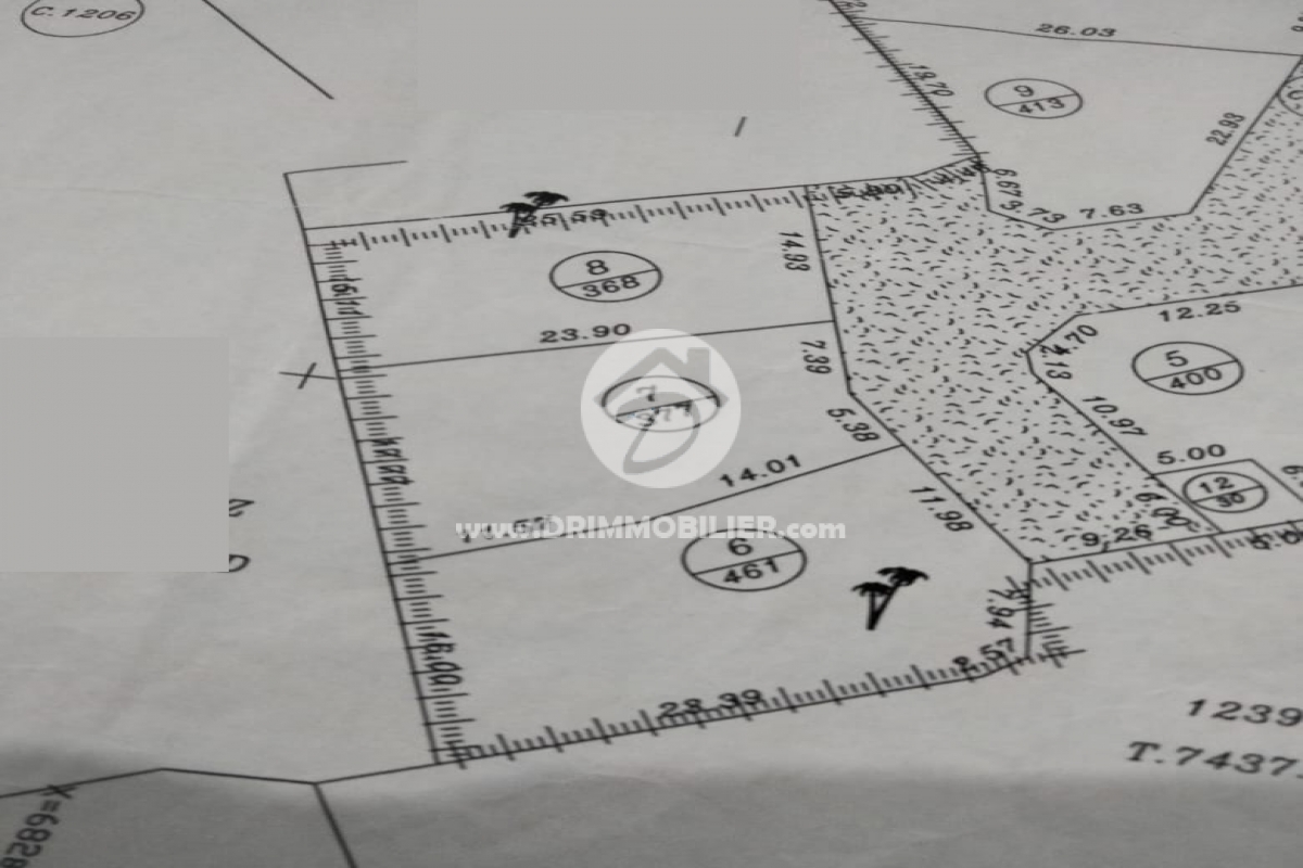 V717 -                            Vente
                           Terrain Djerba