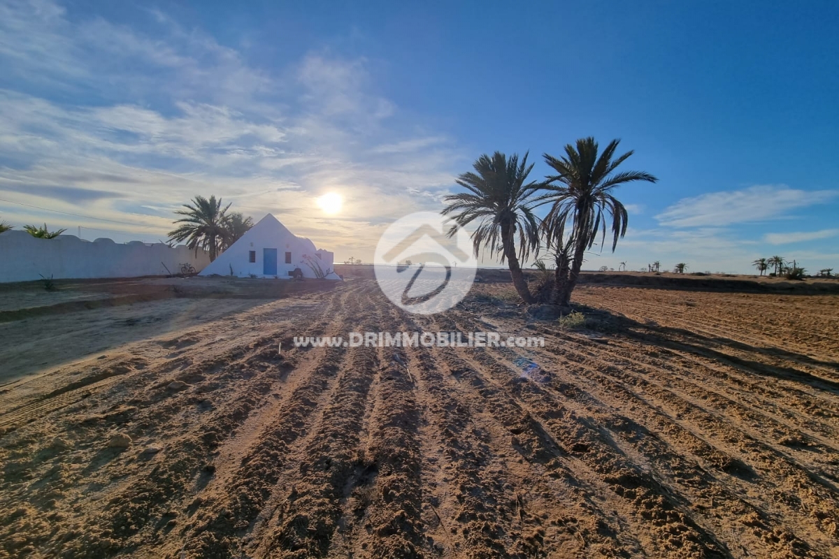 V720 -   Villa avec piscine Djerba