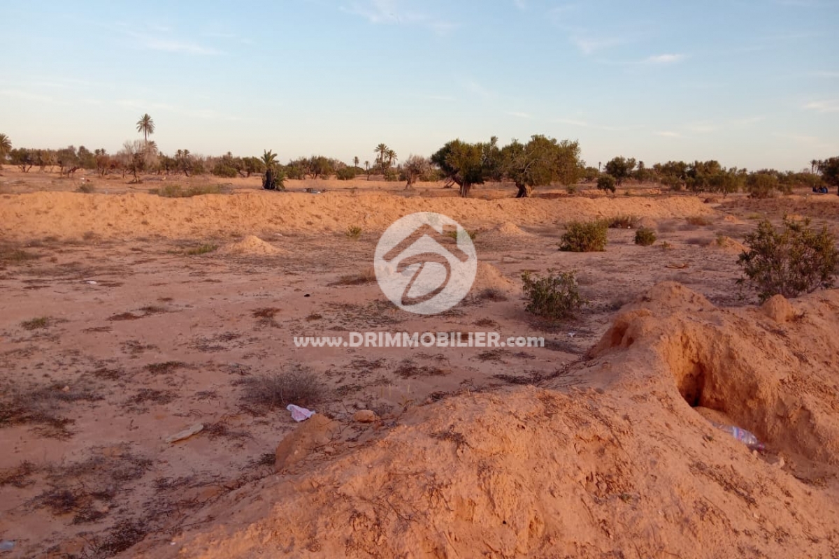 V731 -                            بيع
                           Terrain Djerba