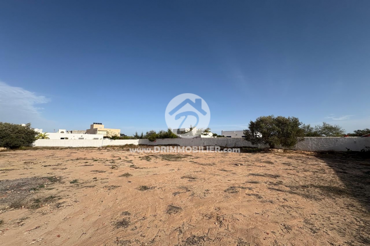 V740 -                            Koupit
                           Terrain Djerba