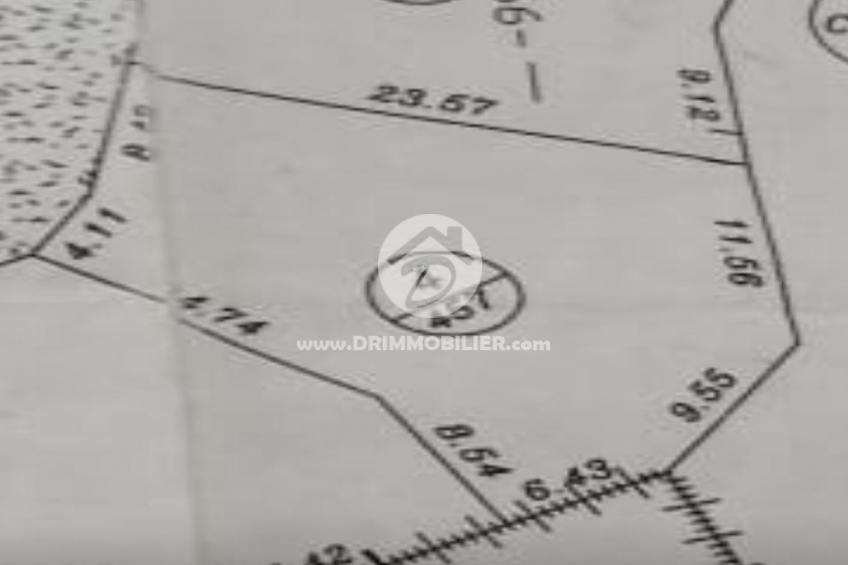 V741 -                            Koupit
                           Terrain Djerba