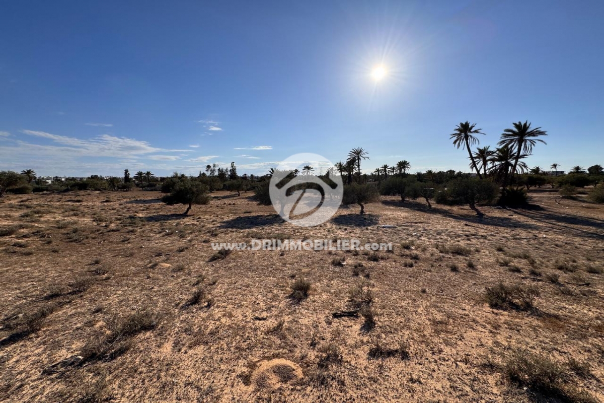 V746 -                            بيع
                           Terrain Djerba