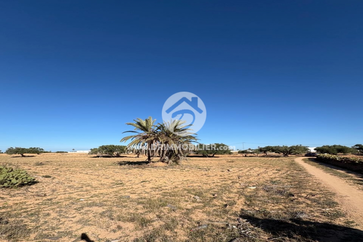 V748 -                            Vente
                           Terrain Djerba