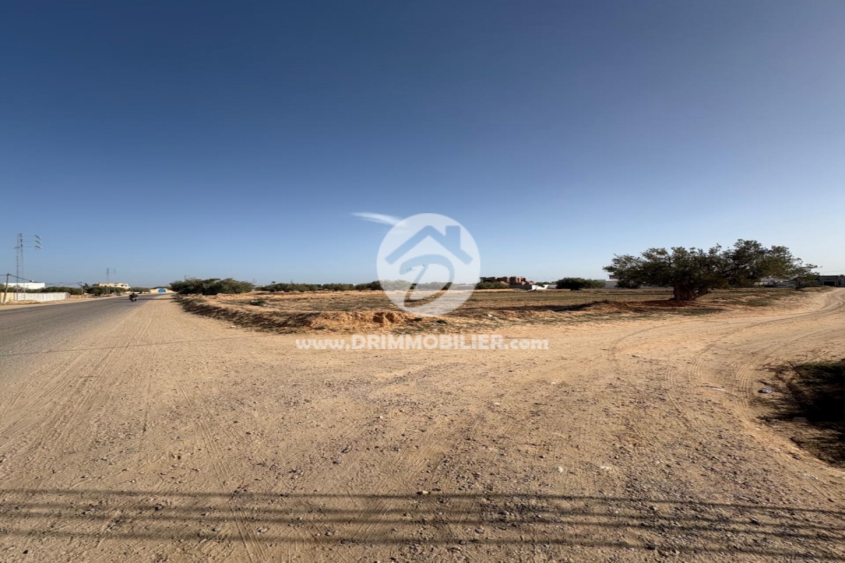 V752 -                            Koupit
                           Terrain Djerba