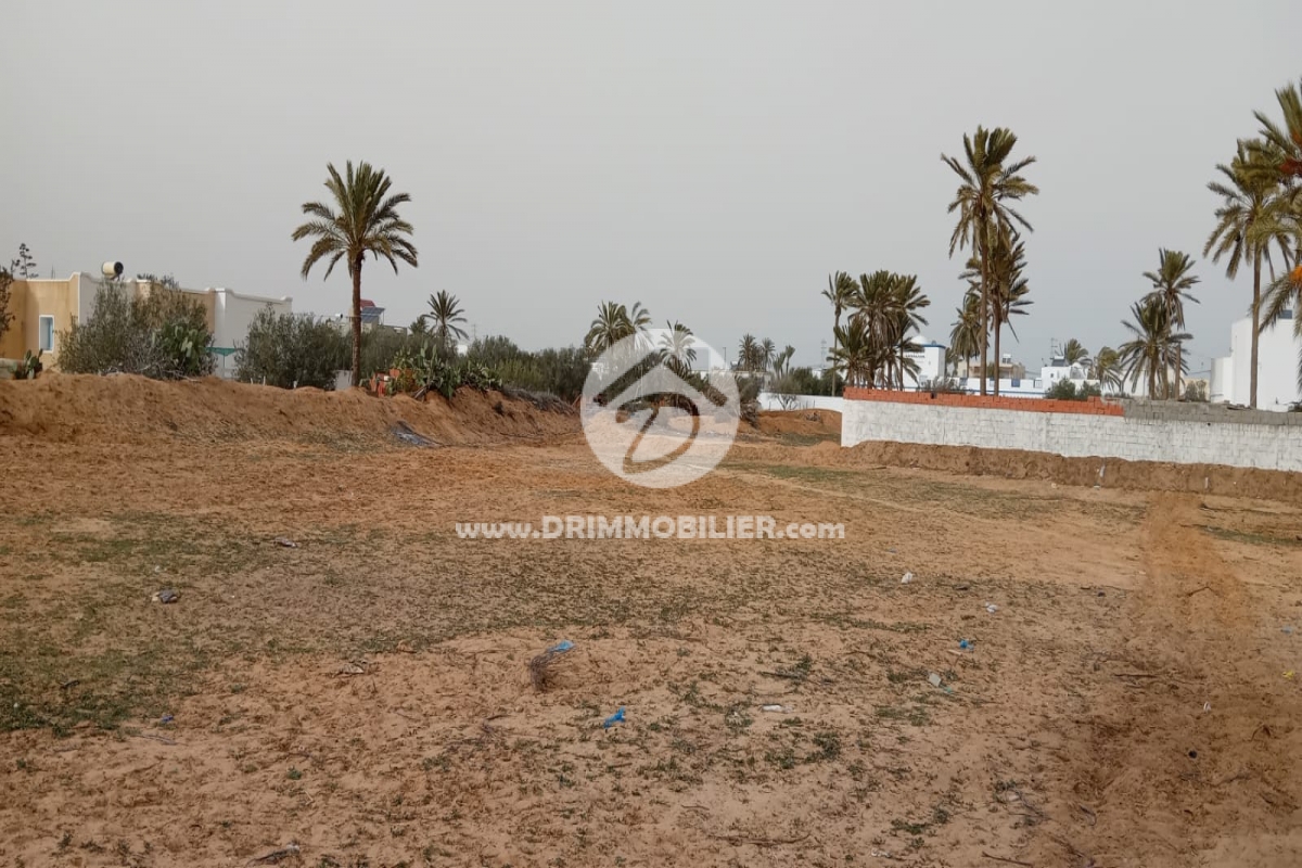 V754 -                            بيع
                           Terrain Djerba