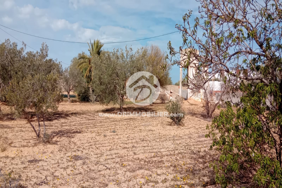 V756 -                            بيع
                           Terrain Djerba