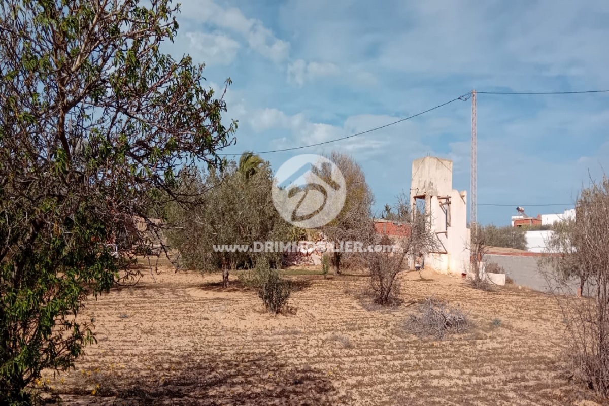 V756 -   Terrain Djerba