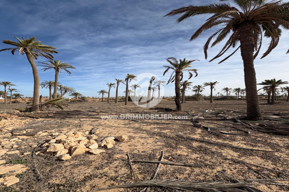 V758 -   Houch Djerbien Djerba