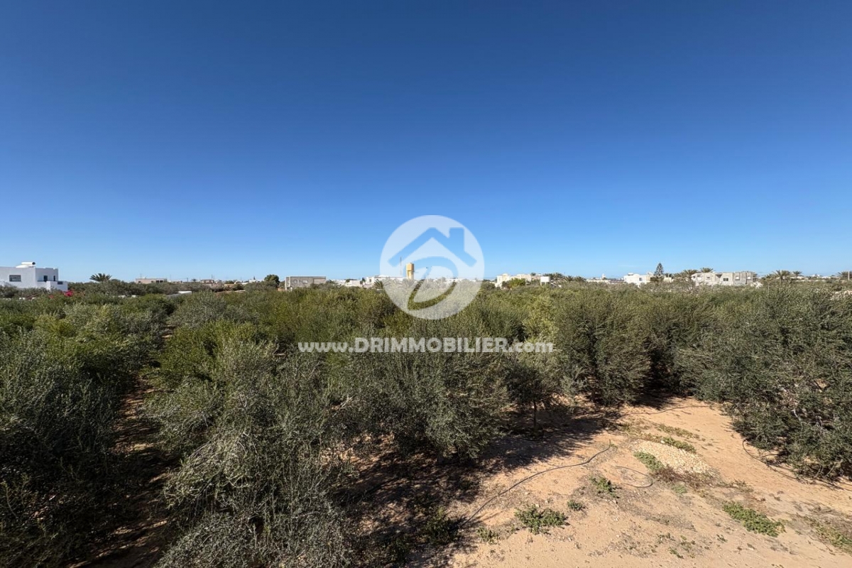 V761 -                            بيع
                           Terrain Djerba