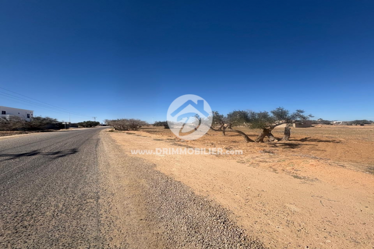 V762 -                            بيع
                           Terrain Djerba