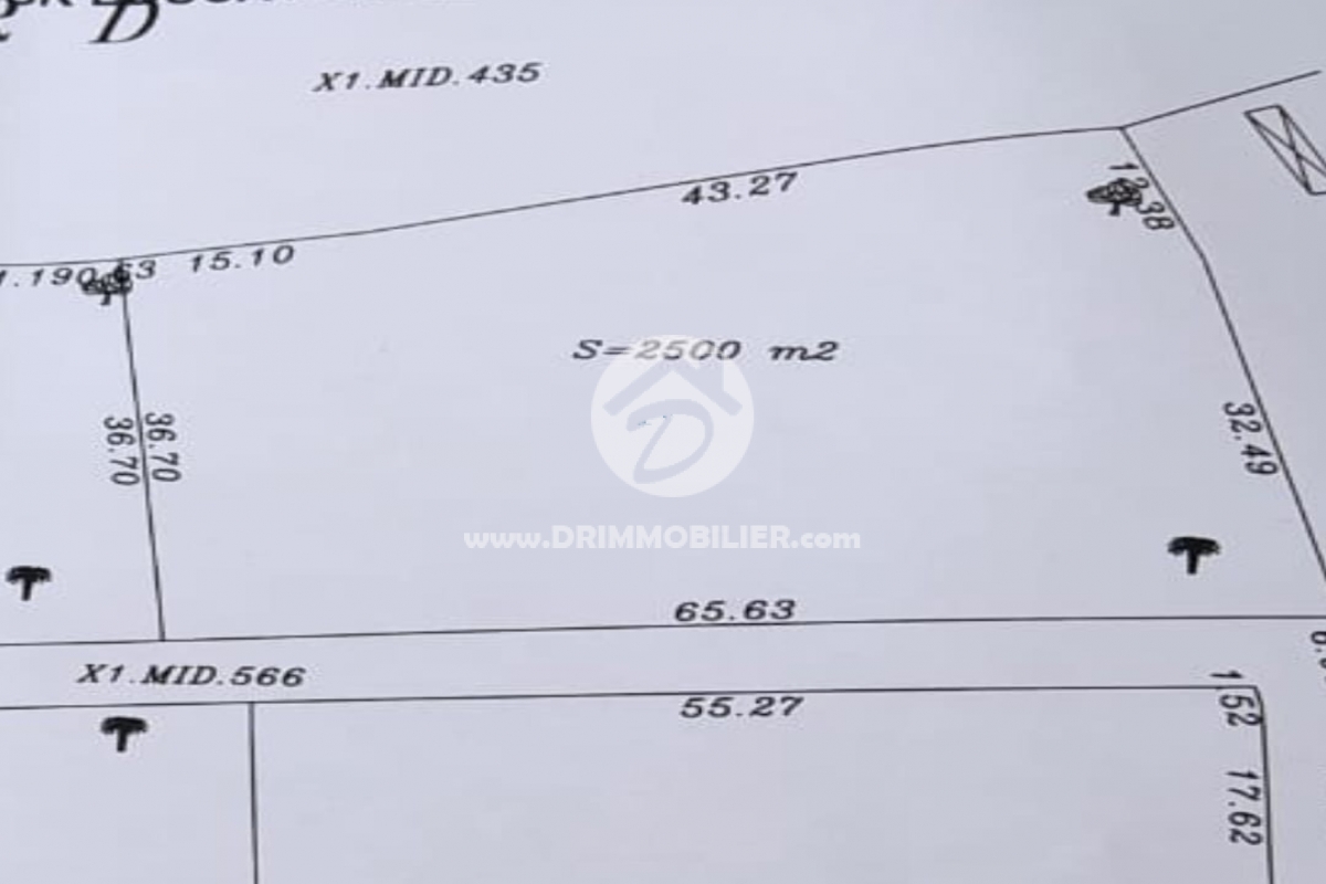 V763 -                            بيع
                           Terrain Djerba