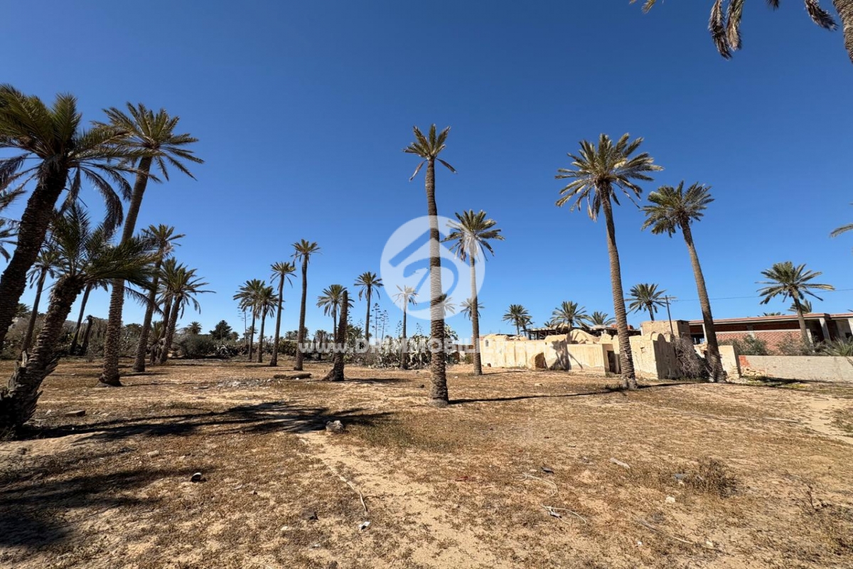 V765 -                            Vente
                           Houch Djerbien Djerba