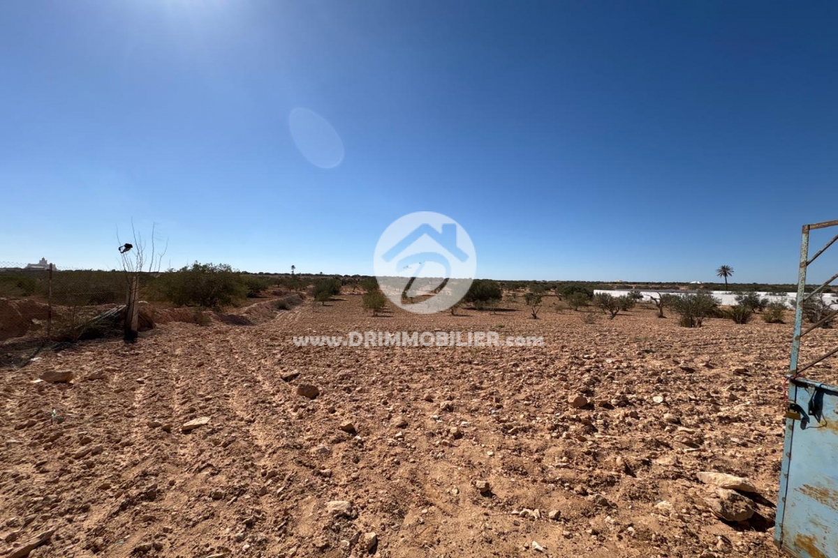 V766 -   Terrain Djerba