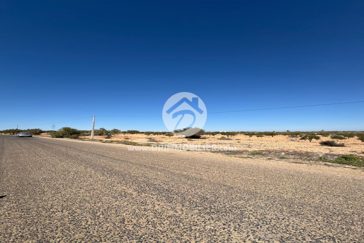 V766 -   Terrain Djerba