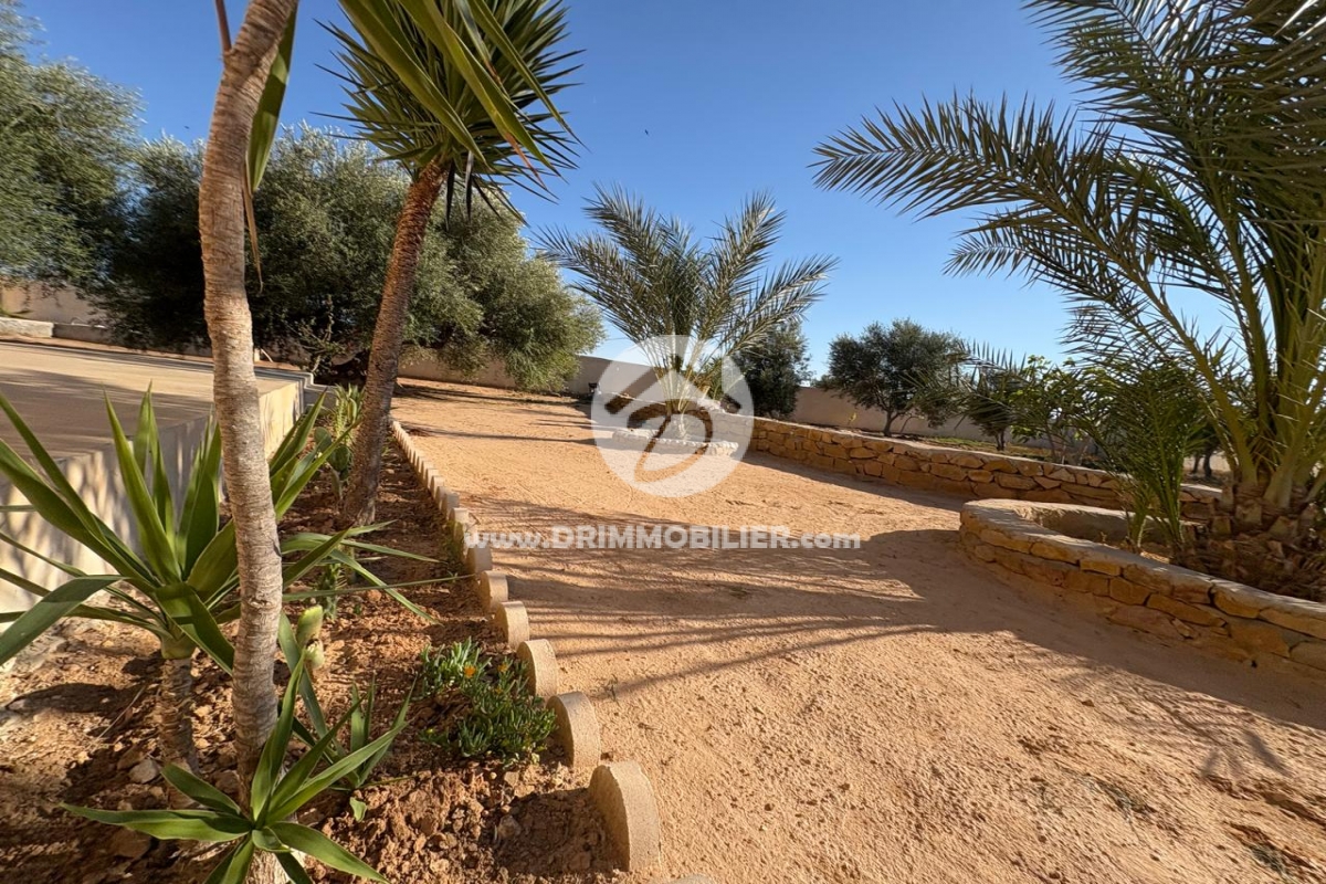 V770 -   Villa Meublé Djerba