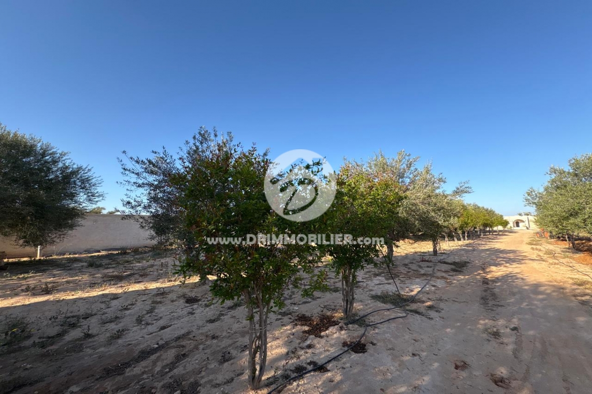 V770 -   Villa Meublé Djerba