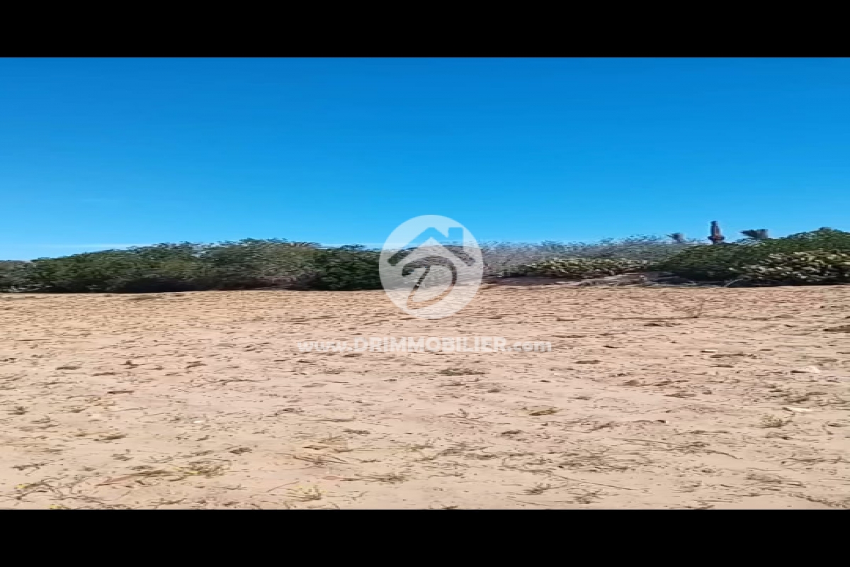 V775 -                            Koupit
                           Terrain Djerba