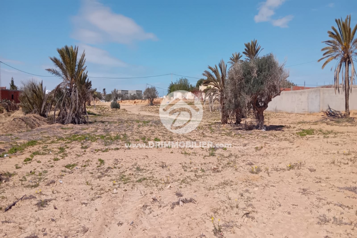 V776 -                            Koupit
                           Terrain Djerba