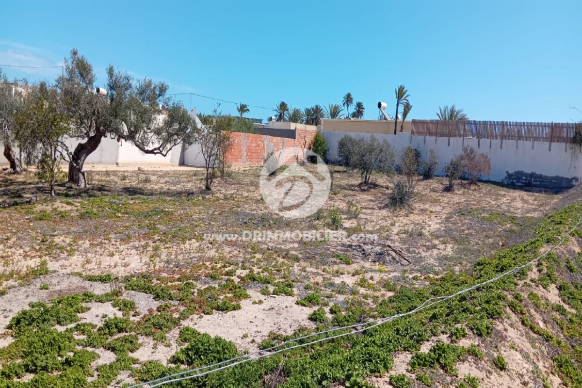 V777 -                            Koupit
                           Terrain Djerba