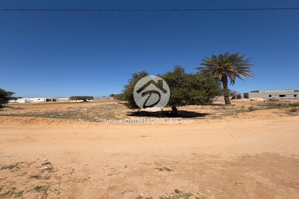 V779 -                            Koupit
                           Terrain Djerba