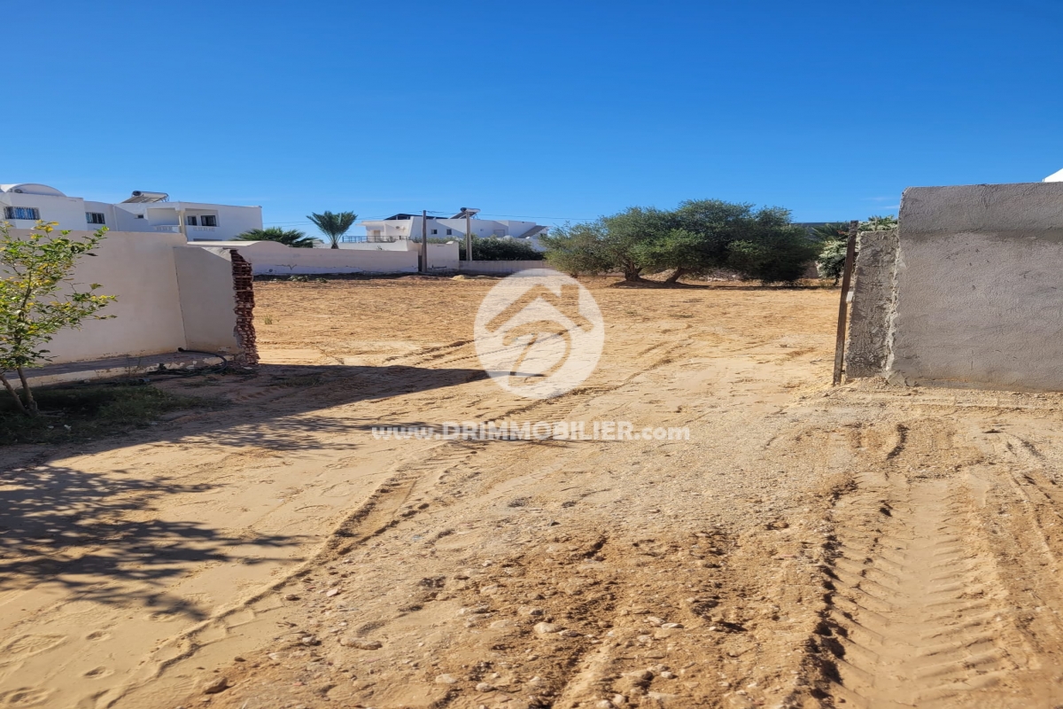 V782 -                            Vente
                           Terrain Djerba