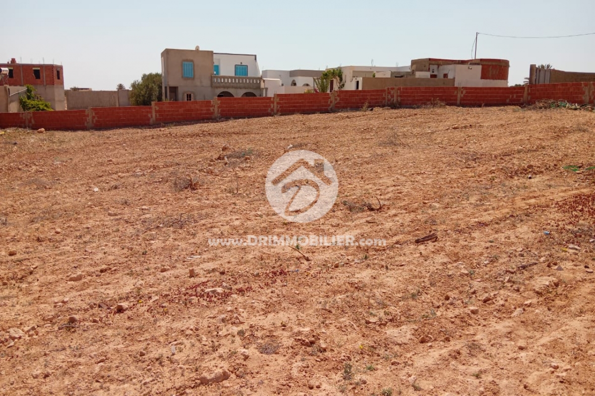 V788 -                            بيع
                           Terrain Djerba