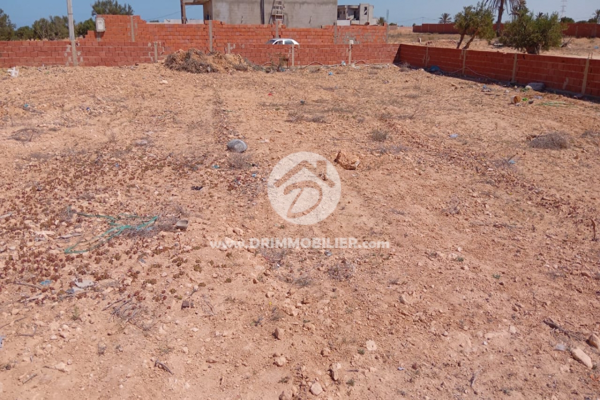 V788 -   Terrain Djerba