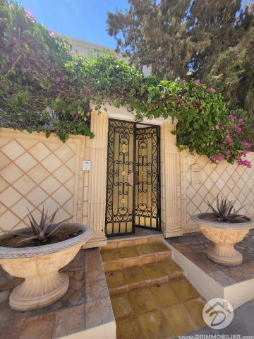 V541 -                            Sale
                           VIP Villa Djerba