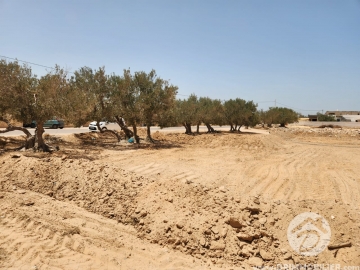 V618 -                            Sale
                           Terrain Djerba