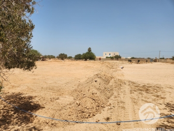 V618 -                            Sale
                           Terrain Djerba