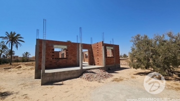 V625 -                            بيع
                           Terrain Djerba