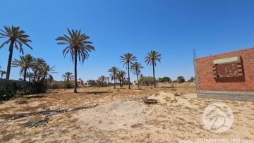 V625 -                            بيع
                           Terrain Djerba