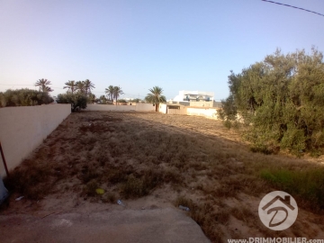 V651 -                            Vente
                           Terrain Djerba