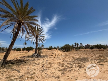  V685 -  Sale  Ground Djerba
