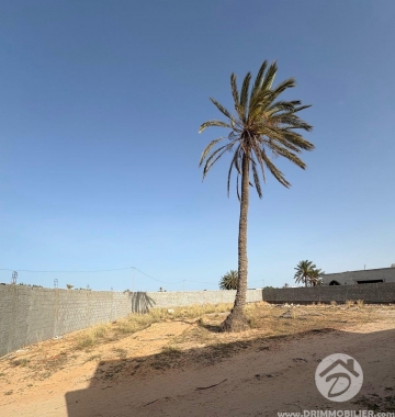  V687 -  Sale  Ground Djerba