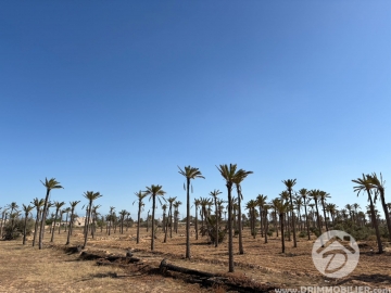  V692 -  Vente  Terrain Djerba