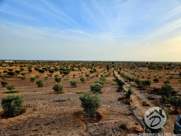  V693 -  Vente  Terrain Djerba